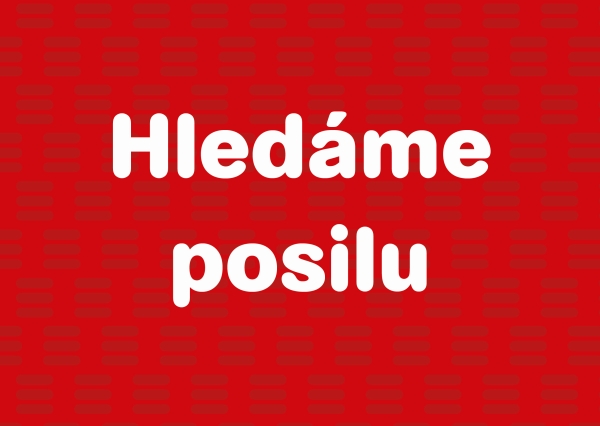 Automechanik / pracovník pneuservisu